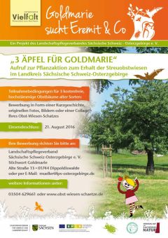 Plakat "3 Äpfel für Goldmarie" 2016